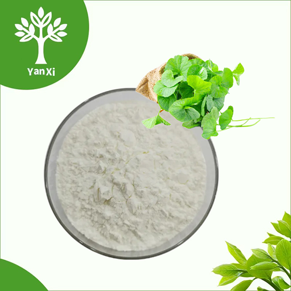 Centella Asiatica Extract Powder Centella Asiatica Extract Powder